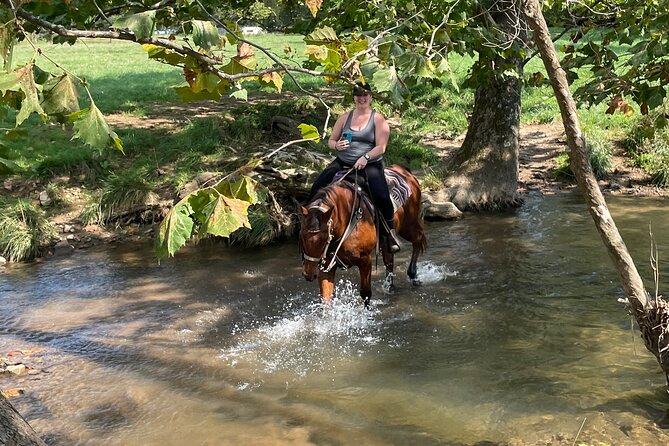 Private Horseback Experience in Appalachian Mountains