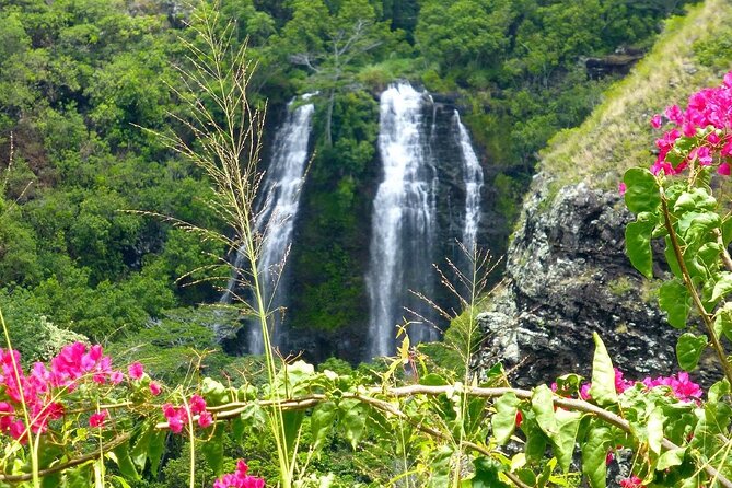 Private Kauai Eastside & Waterfalls Tour. Short & Sweet (5 Hrs) - Pickup and Meeting Information