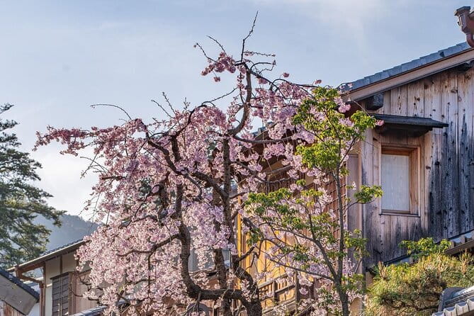 Private Kyoto Customizable Day Tour With English Guide