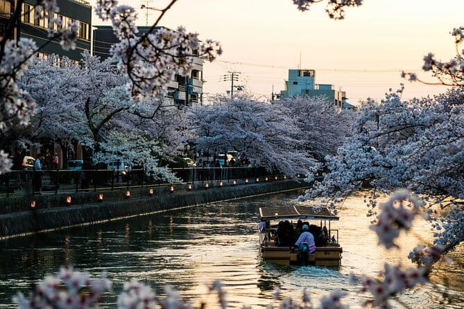 Private Kyoto Osaka Day Tour With English Speaking Driver