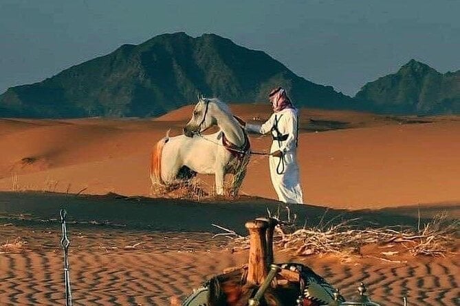 Private Luxury 8-Days Tour in Jordan, With a Licensed Tour Guide - Experience Wadi Rums Breathtaking Landscape