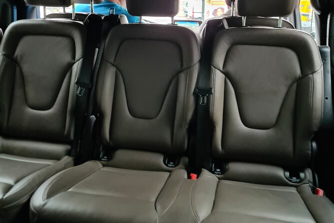 Private Minivan Transfer to or From Schiphol Airport