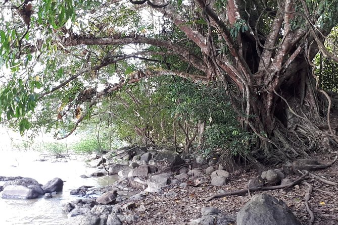 Private Nam Cat Tien National Park 2 Days 1 Night