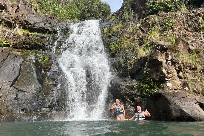 Private North Shore Waterfalls and Turtles Tour