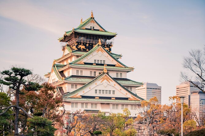 Private Osaka Tour With English Speaking Chauffeur