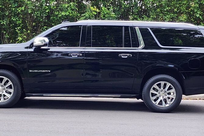 Private Port Canaveral Transfer to and From Orlando Intl Airport