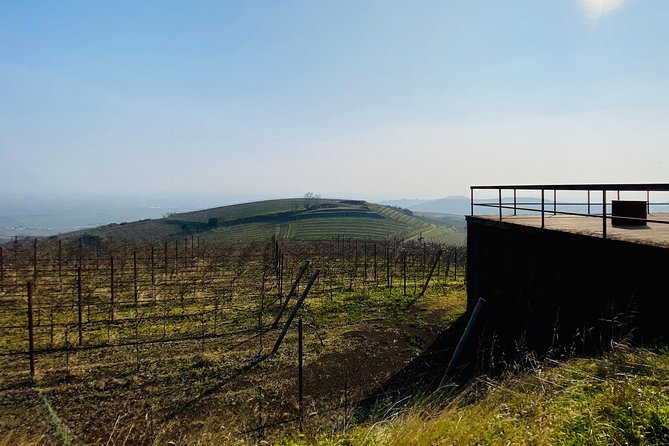 Private Scenic Transfer From Venice to Florence - Transfer Details