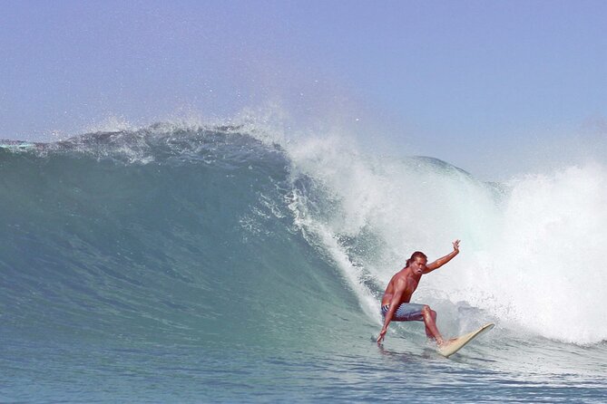 Private Surf Lesson With Transportation in Honolulu, Hawaii - Overview of the Private Surf Lesson