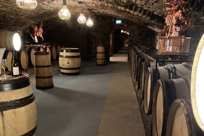 Private Tasting Day Tour From Paris to Beaune - Transportation Features