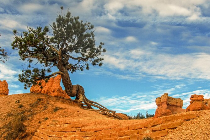 Private Tour Colorado Plateau From Sedona - Tour Overview