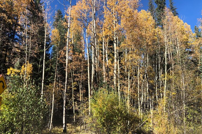Private Tour Hiking to Saint Marys Glacier, Red Rock and Hot Springs - Pickup and Meeting Details