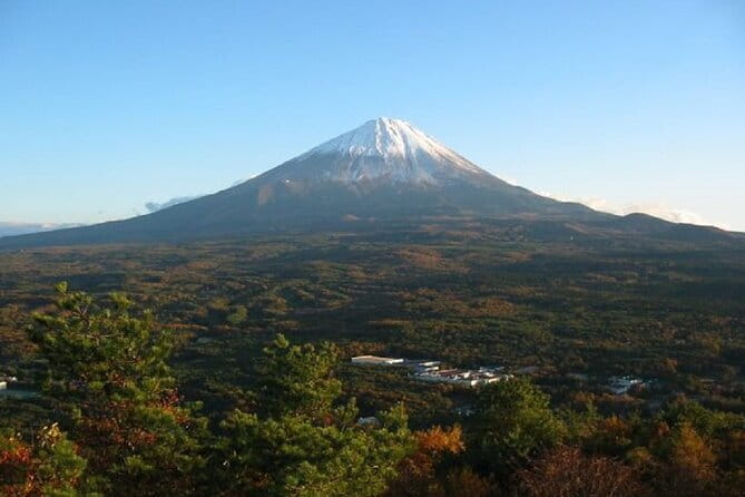 Private Tour of Mt. Fuji Culture and Nature Walk