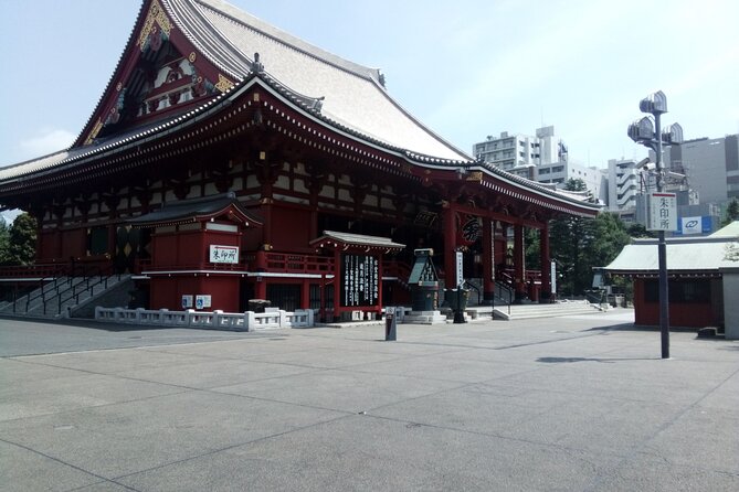 Private Tour of Tokyo With a French-Speaking Guide