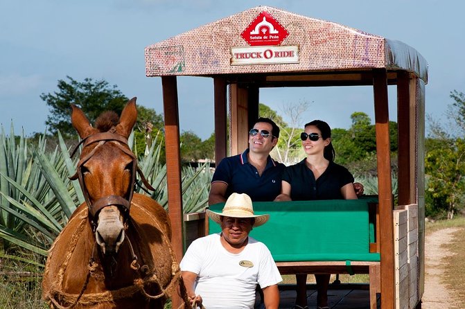Private Tour: Uxmal & Hacienda Sotuta De Peon by Yucatan Concierge