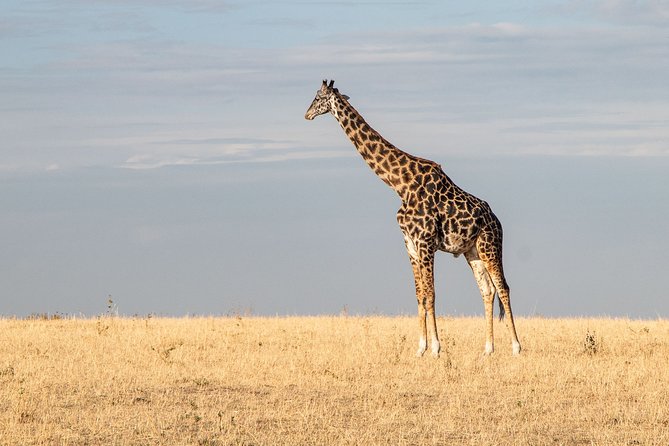 Private Transfer From Kigali Airport (Kgl) to Kigali - Pricing and Inclusions