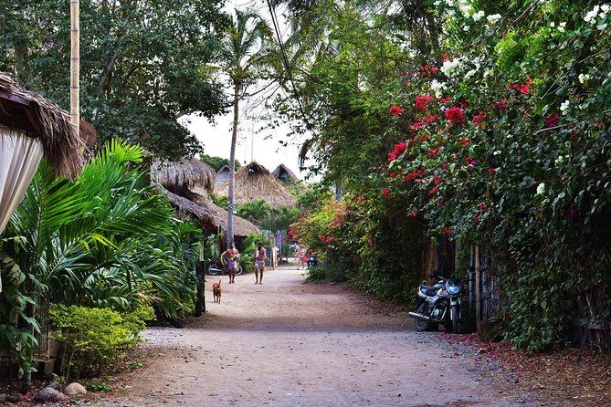 Private Transportation Service From Cartagena to Palomino