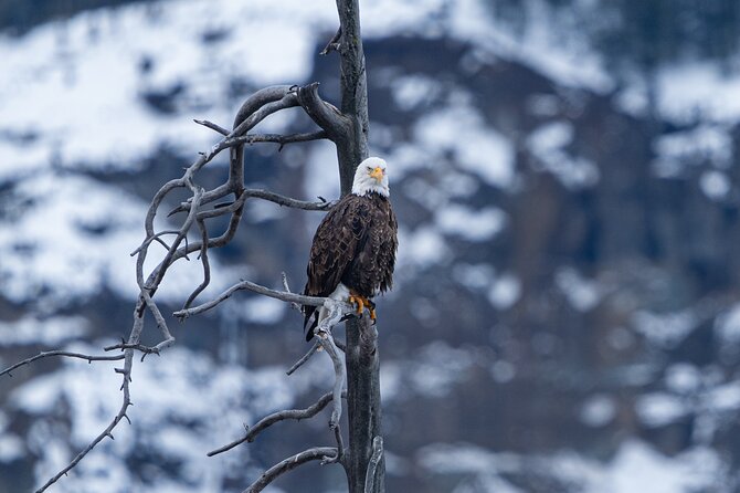 Private Wildlife Photography Tour Review