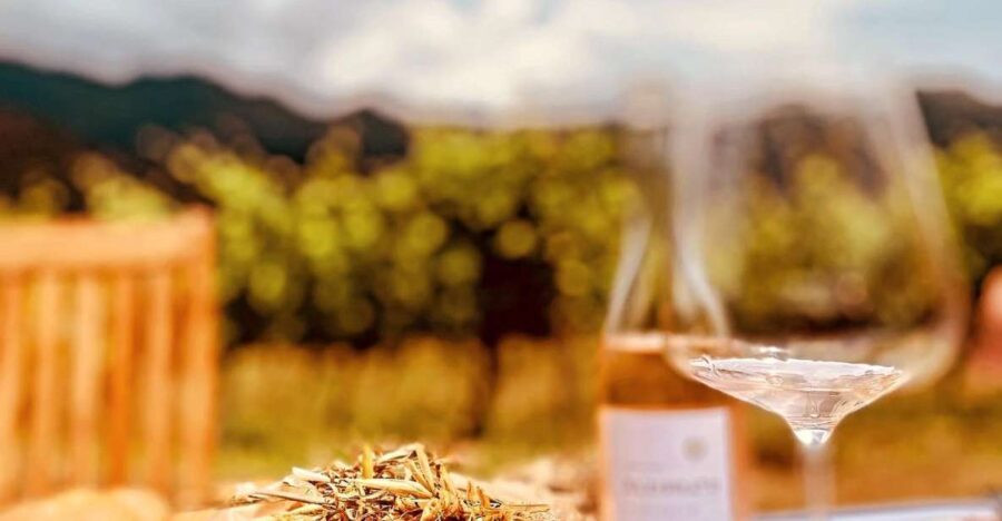 Private Wine Tour Around Ile Rousse & Calvi With Transport