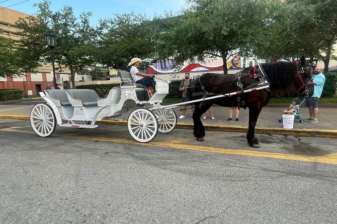 Public Group Historical Carriage Tour of Galveston Review