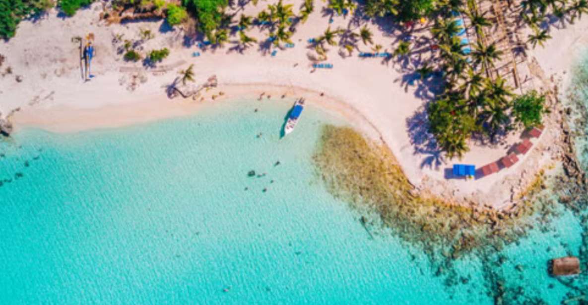 Punta Cana: Catamaran Boat to Saona Island With Buffet Lunch - Tour Overview