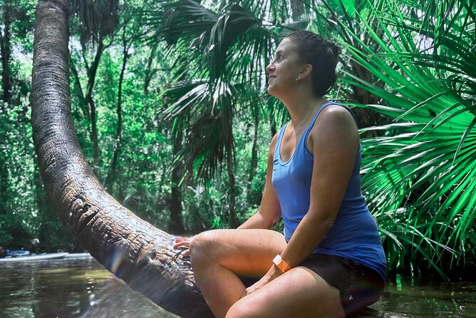 Rainbow Springs Clear Kayak and Paddleboard Guided Tours - Overview of the Tour Experience