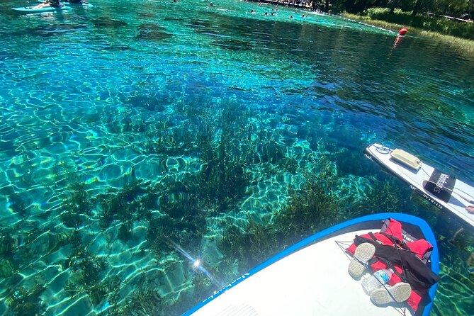 Rainbow Springs Electric Paddle Tour - What to Expect