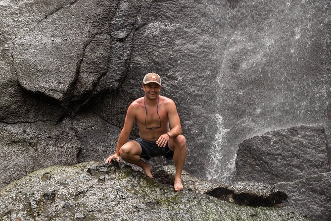 Rainforest Hike