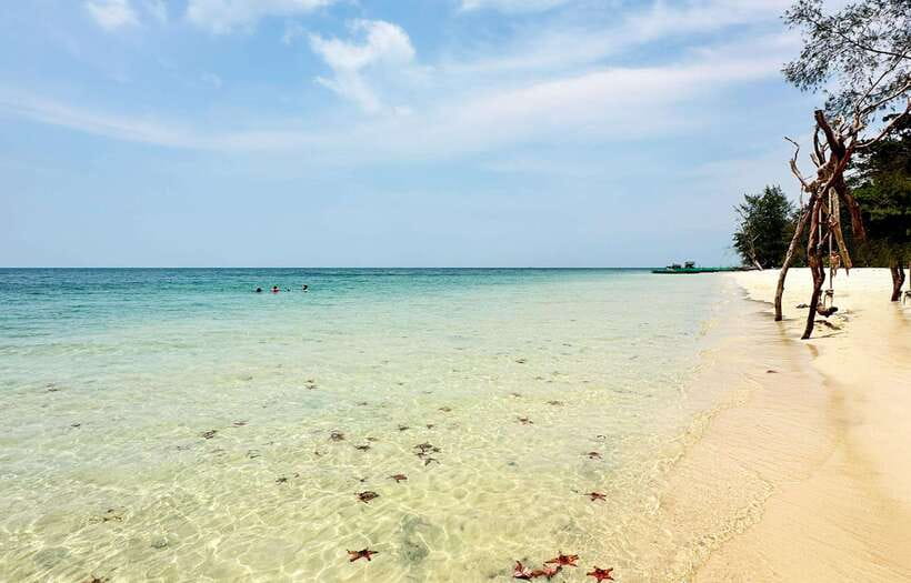 [Red River Tours] Sightseeing to the North in Phu Quoc - Tour Overview