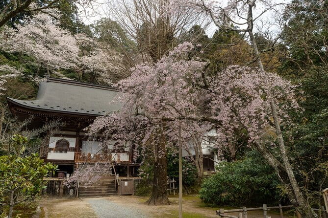 Relaxed Nara Tour From Osaka: Hasedera and Muroji Temples