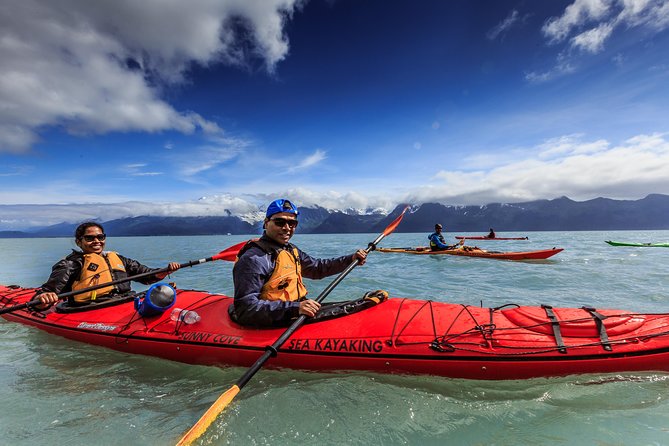 Resurrection Bay Kayaking Adventure