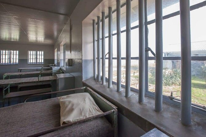 Robben Island and Table Mountain City Guided Full Day Tour