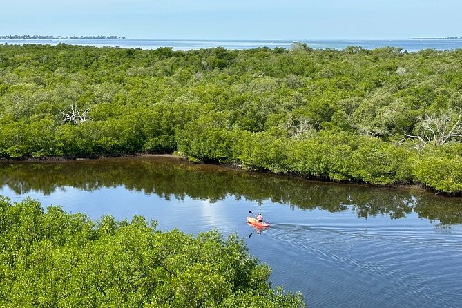 Robinson Preserve Nature Walk Eco Tour - Tour Overview