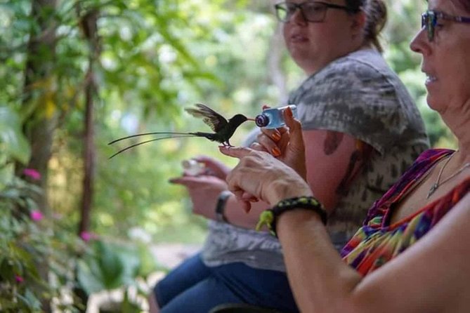 Rockland Bird Sanctuary Private Tour
