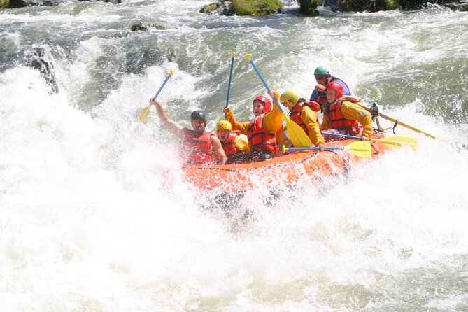 Rogue River Whitewater Adventure Review
