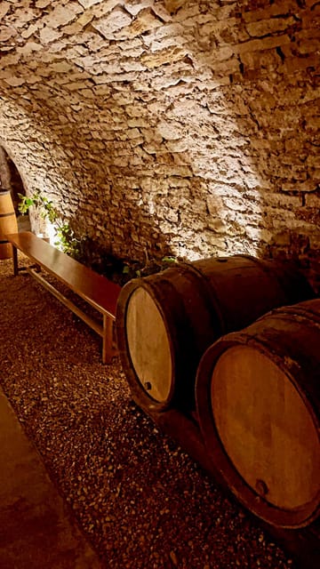 Route Du Champagne: Food and Wine Tour