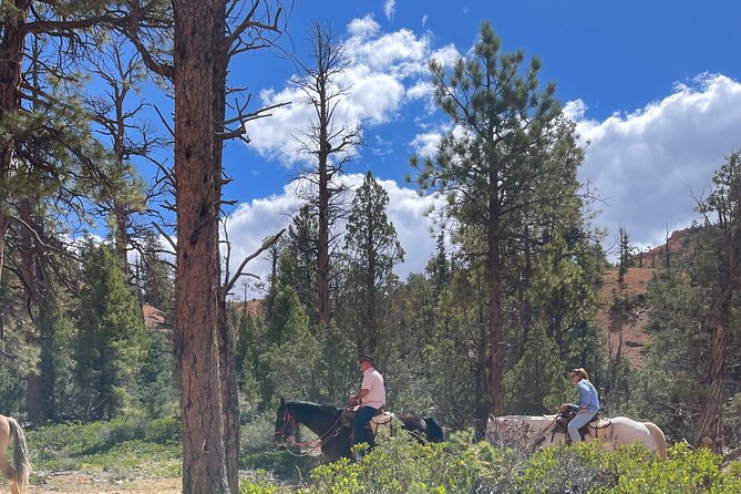 Rubys Horseback Adventures All Day Ride Review
