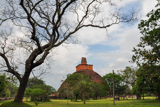 Sacred City of Anuradhapura From Sigiriya - Tour Overview