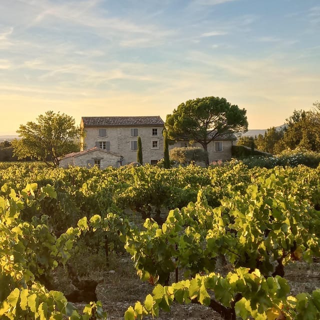 Saint-Didier: Visit a Winery & Taste Organic Wines