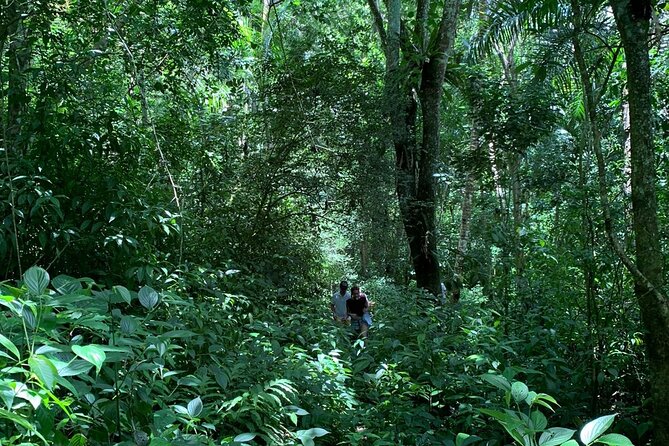 Salto De La Jalda - Leaping La Jalda- Hiking or Horse Riding by Rain Forest - Overview of the Activity