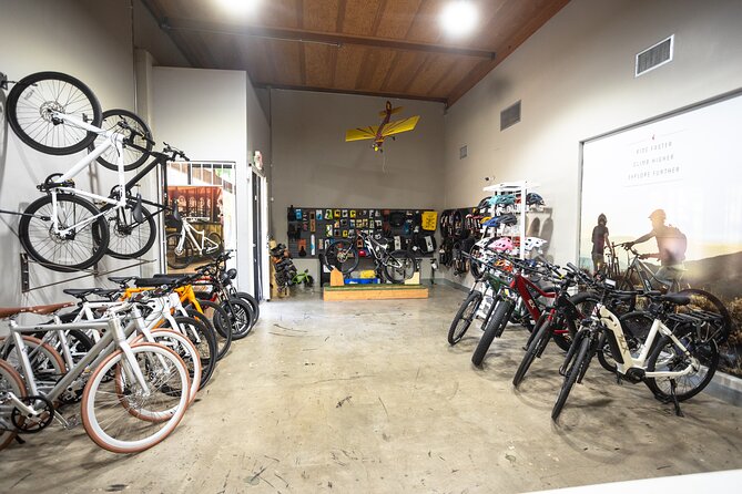 San Diego Ebike Rentals - Experience Californias Finest Scenery - Overview of San Diego Electric Bike Rentals