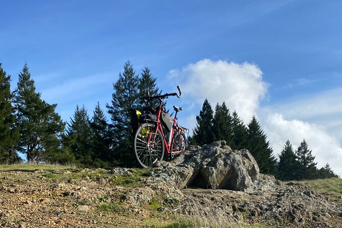 San Francisco E-bike Tour on Scenic Trails Review - Whats Included in the Tour?