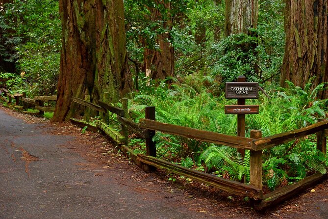 San Francisco, Golden Gate, Sausalito and Muir Woods Private Tour