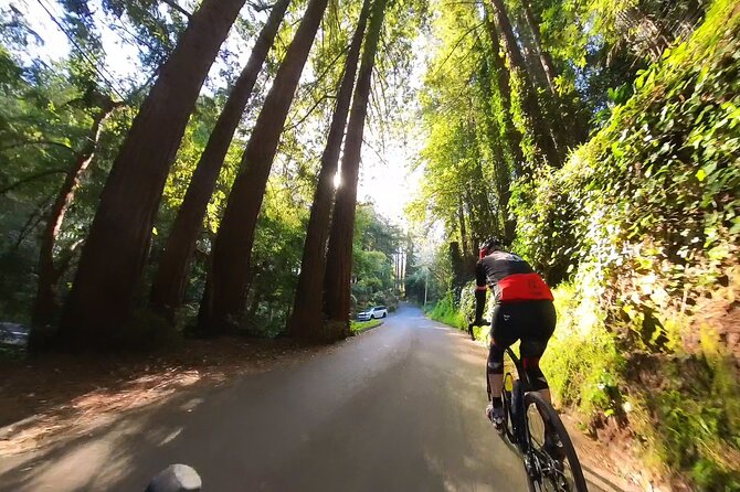 San Francisco to Muir Woods Cycling Tour - Inclusions and What to Expect