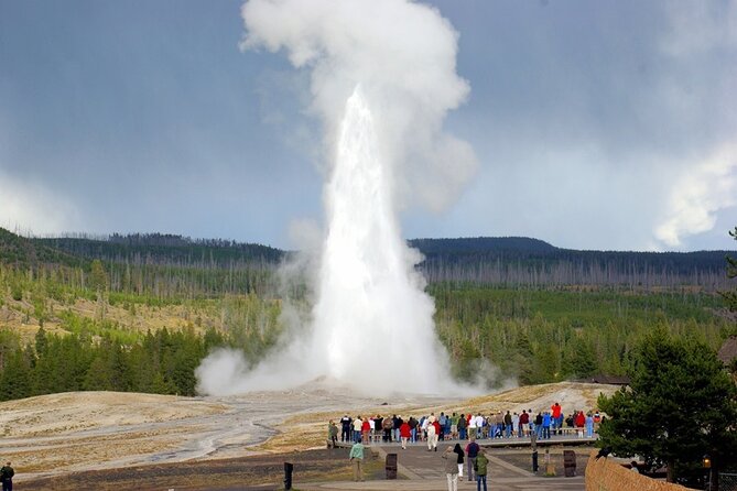San Francisco to Yellowstone and Las Vegas 7-Day Tour