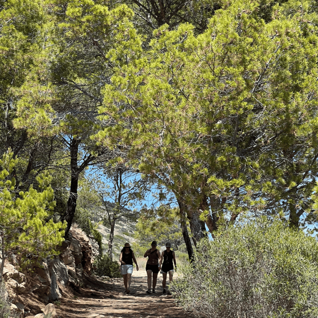 Sant Elm: Visit Dragonera Island by Boat