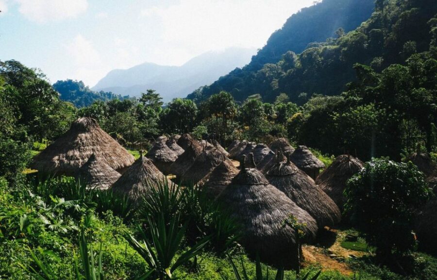 Santa Marta: Multi-Day Trek to The Lost City - Overview of the Trek