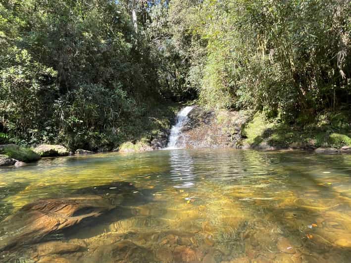 São Paulo: Atlantic Forest Day Trip With a Biologist - Explore the Atlantic Forest