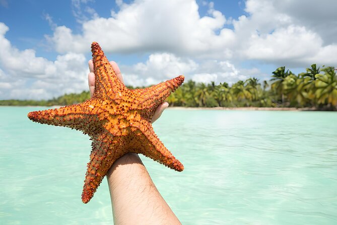 Saona and Mano Juan Private Tour by Speedboat From Punta Cana