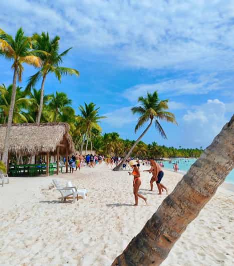 Saona Island - Overview and Pricing