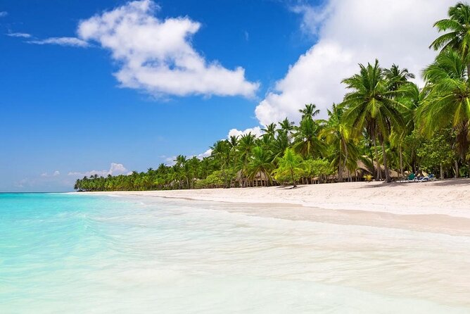 Saona Island Private Small Group